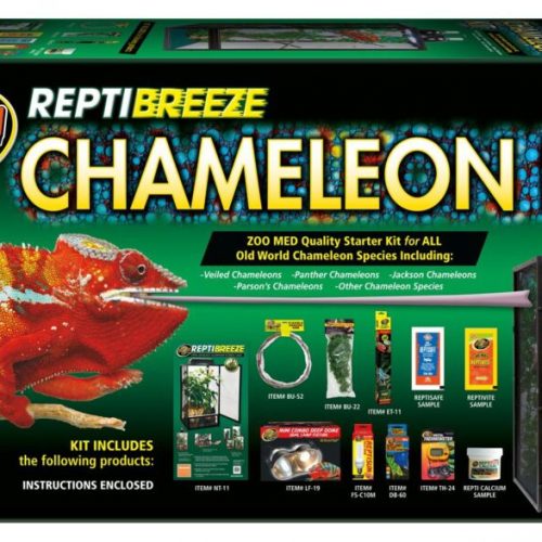 Starter Kit per Camaleonti