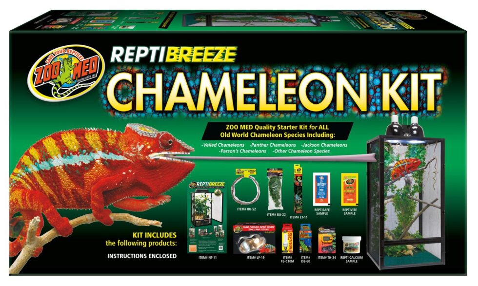 Starter Kit per Camaleonti