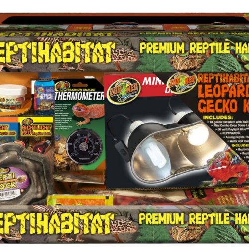 Starter Kit per Geco Leopardino