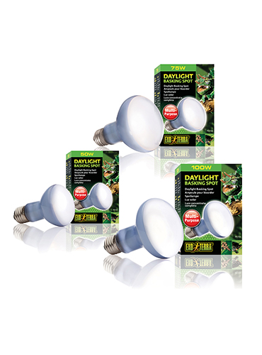SUN GLO NEODYMIUM